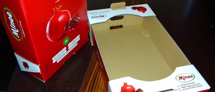 نکات طراحی جعبه میوه